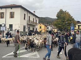 Sabato arriva la transumanza!