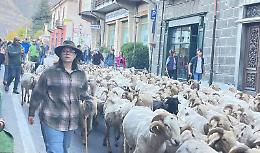 Da lontano il suono dei campanacci: arriva la transumanza!