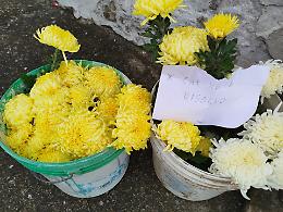 Lascia due cesti di fiori e un biglietto all'ingresso del cimitero: "Per chi ne ha bisogno"