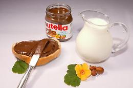 Ferrero: stop all'acquisto di nocciole dalla Turchia. "Nessun problema per la Nutella"
