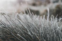 Gelate all’alba in pianura nel Cuneese e caldo in quota: il Piemonte diviso in due 