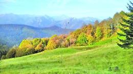 Associazioni fondiarie, dieci anni per ridare vita ai terreni abbandonati