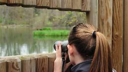 Uno sguardo sul paradiso: la Riserva naturale apre una nuova torretta per il birdwatching