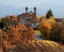 Natura e piccole comunità: l'importanza di proteggere i boschi delle Langhe