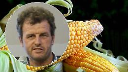 Rinviata al 23 novembre la Sagra del mais 