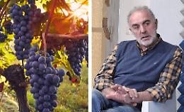 Prezzo delle uve: «Con le medie di quest’anno è difficile mantenere i vigneti»