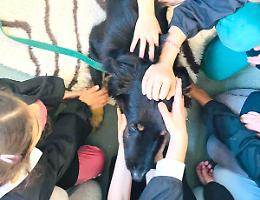 L’educazione per il benessere dei cani arriva... in classe