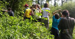 Natura e biodiversità: tre Comuni si impegnano per valorizzare la Riserva 