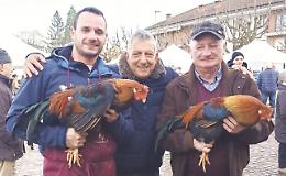 Torna la Fiera nazionale del Cappone di Morozzo – SCOPRI TUTTO IL PROGRAMMA