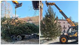 Cittadini donano al paese un grande albero, per le festività di Natale