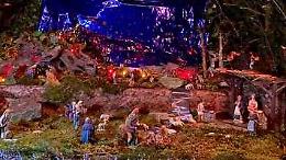 Volontari, luci e un piccolo pino: così rinasce l’incanto delle feste