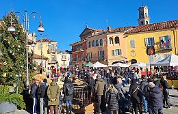 Zucche sull'albero di Natale? A Piozzo è (meravigliosamente) realtà