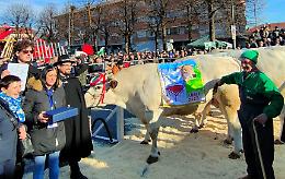 Giovanni Rocca vince nella sua Carr&ugrave;: il bue "Fol" domina la scena