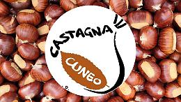 La Castagna IGP sbarca a “Castanea”: debutto ufficiale alla fiera di Firenze