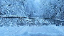Interruzione temporanea sulla Fondovalle Casotto per un albero caduto sulla carreggiata
