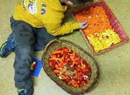 Mattoncini, note e cervello: quando imparare passa anche dalle emozioni