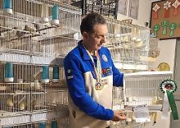 Ecco i canarini pi&ugrave; belli d&rsquo;Italia