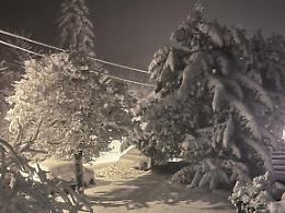 30 centimetri di neve in Alta Langa: numerose interruzioni dell'energia elettrica