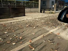 Camion perde il carico in via Vecchia di Cuneo