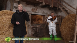 Ellen Hidding con "Melaverde" a Morozzo: il 2026 in tv inizia alla scoperta del Cappone