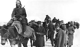 Voci dalla &ldquo;Ritirata di Russia&rdquo;
