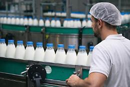 &laquo;Prezzo del latte in picchiata: in Piemonte si rischia la recessione&raquo;
