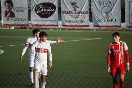 I Galli monregalesi cantano all'alba del nuovo anno 