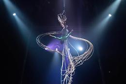 Incanto al circo: ed &egrave; boom di spettatori