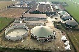 &laquo;Il "DL Bollette" mette a rischio il biogas e le biomasse di origine agricola&raquo;