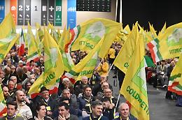 Dalla carne agli ormoni al riso ai pesticidi: &laquo;Servono pi&ugrave; controlli per salvare le eccellenze piemontesi&raquo;