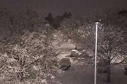 Alberi caduti e pullman di traverso: il Cuneese sotto la neve