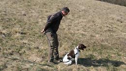 Bocconi a terra e un gatto avvelenato: doppio intervento per il cane Argo