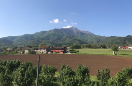 Un gruppo di cittadini critici sul polo scolastico: &laquo;Il &ldquo;sogno&rdquo; da 11 milioni: &egrave; davvero sostenibile?&raquo;