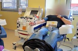 &laquo;In Italia c'&egrave; sempre bisogno di plasma: cerchiamo donatori&raquo;