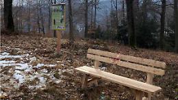 Tra boschi e rapaci: sulla collina nasce il Sentiero dei Gufi