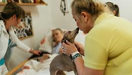 Pet-therapy: animali che curano, includono, cambiano la vita

