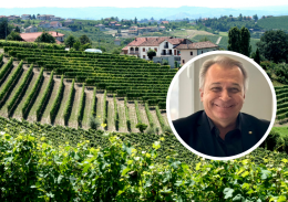 Dall'Europa arrivano quasi 19 milioni di euro per il vino piemontese