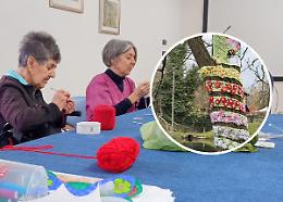 In casa di riposo si lavora a maglia, ma per vestire... gli alberi
