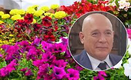 &laquo;Tutto il mondo vuole acquistare i nostri fiori... ma le leggi ci giocano contro&raquo;