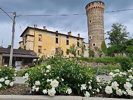 &ldquo;Ti regaler&ograve; una rosa&rdquo;: un'adozione simbolica per diffondere bellezza e cura nel paese