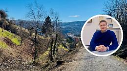 Piante secche e a rischio caduta: via agli interventi sul verde pubblico