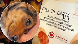 Ragazzi dei Centri Diurni cuciono coperte per i cani del Canile: nasce &ldquo;Fili di Carta&rdquo;