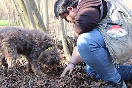 Come e dove trovare i tartufi neri? Un viaggio con i trifulau, nei nostri boschi