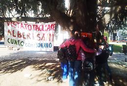 Bambini in lacrime, abbracciano i cedri in piazza: &laquo;Perch&eacute; volete tagliare gli alberi?&raquo; 