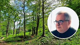 12 milioni sui boschi piemontesi: parte il &ldquo;Piano regolatore&rdquo; che cambia il futuro dei territori