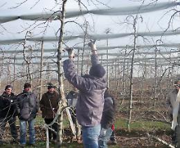 Nella &ldquo;terra dei frutteti&rdquo; per imparare a potare