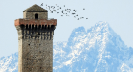 Salire sulla torre medievale in autonomia? Un sogno che pu&ograve; diventare realt&agrave;