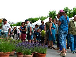 Incontro in Comune con le Associazioni e gli organizzatori del paese: ecco il calendario degli eventi 2026