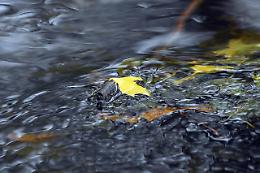 Dalla riqualificazione al turismo lento: un corridoio verde lungo il torrente