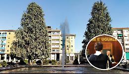 La battaglia dei cedri continua: per ora restano in piedi